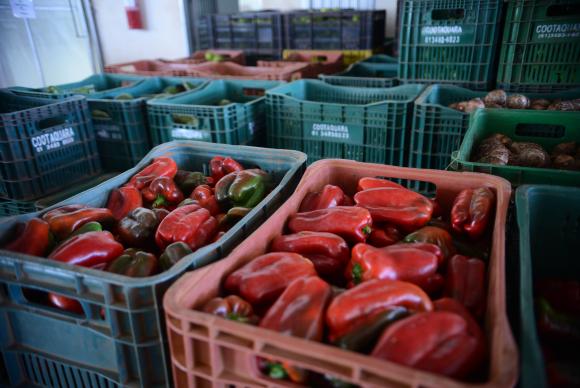 Segundo o presidente da Associação de Supermercados do Estado, Aylton Fornari, o primeiro efeito será o desabastecimento de frutas, legumes, verduras e ovos – os chamados hortigranjeiros. (Foto: Antonio Cruz/Agência Brasil)