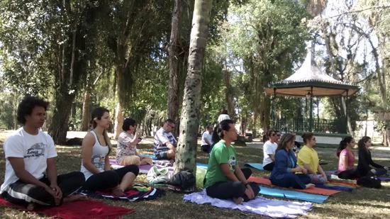 As aulas de Yoga são realizadas duas vezes ao mês, no Bosque da Princesa. (Foto: Divulgação/PMP)