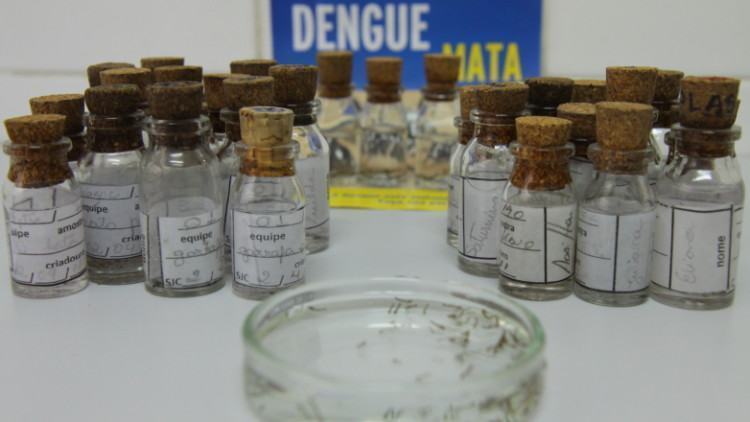 O objetivo do trabalho é checar os níveis de infestação de larvas do mosquito Aedes aegypti em diferentes regiões da cidade. (Foto: Adenir Britto/PMSJC)