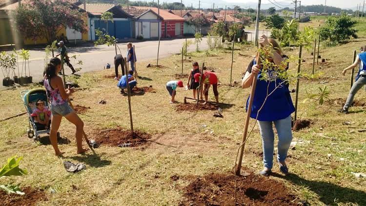  O plantio foi realizado pelas equipes da Prefeitura e moradores do bairro. (Foto: Divulgação/PMT)
