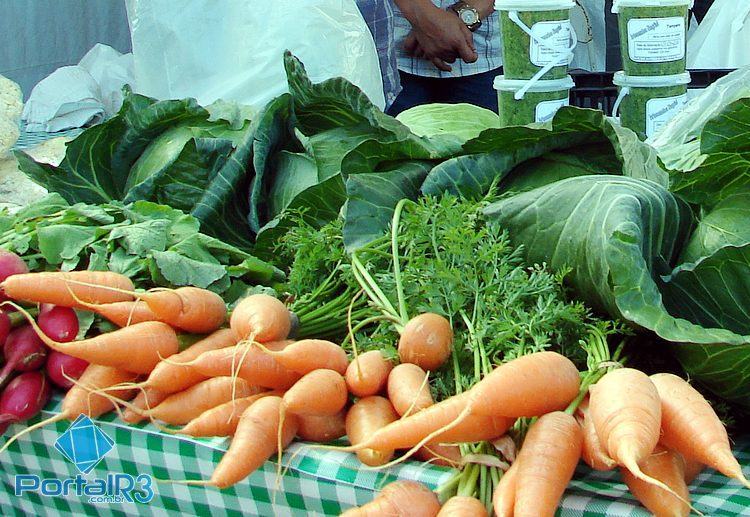 Legumes e frutas na alimentação melhoram saúde física e mental. (Foto: PortalR3)