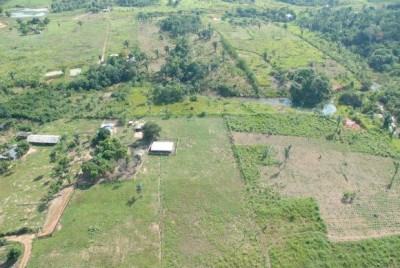 O Cadastro Ambiental Rural vai reunir informações sobre os imóveis no campo. (Arquivo/Agência Brasil)