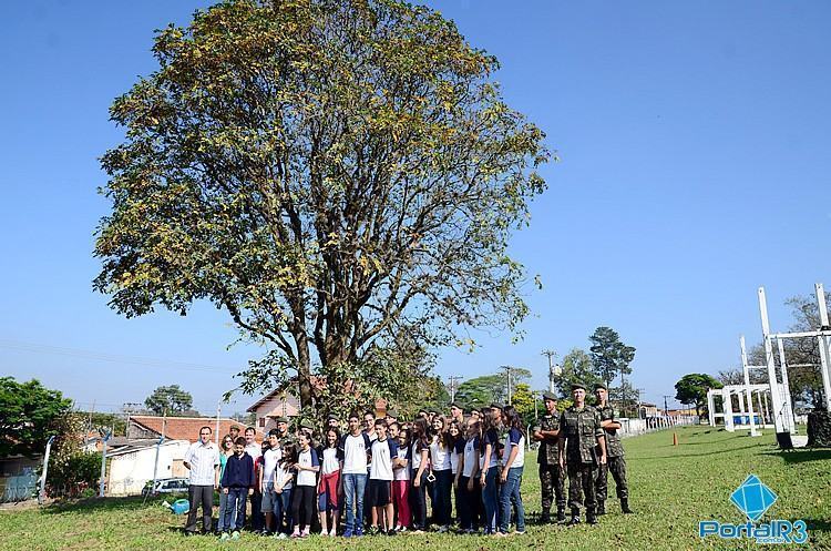 Participantes do plantio. Ao fundo, a árvore conhecida popularmente como "Mamica de Porca". (Foto: Luis Claudio Antunes/PortalR3)