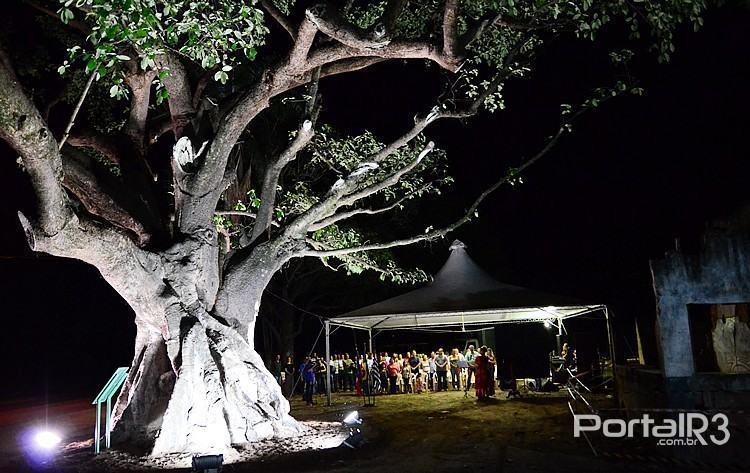 A figueira iluminada. (Foto: Luis Claudio Antunes/PortalR3)