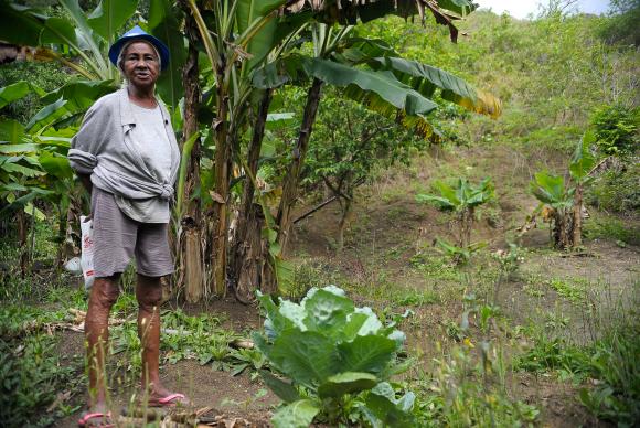 Dona Tacira Julião Alves, remanescente quilombola, mostra o que cultiva em sua roça. (Foto: Tânia Rêgo/Agência Brasil)