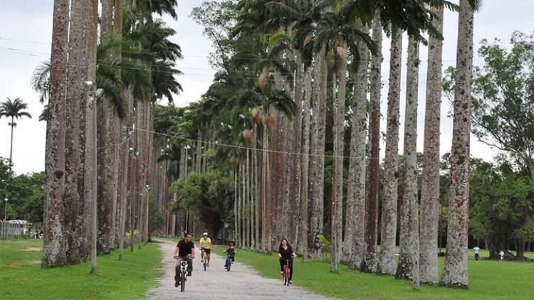 A beleza natural e a ampla área (960.160,17 metros quadrados) transformam o Parque da Cidade em um paraíso verde repleto de obras arquitetônicas. (foto: Divulgação)