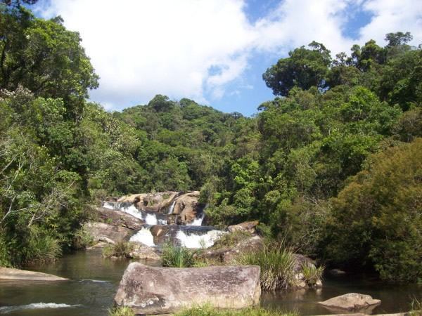 deia é incentivar o contato com o meio ambiente por meio de atividades lúdicas; ação totalmente gratuita é voltada para todas as idades. (Foto: Secretaria do Meio Ambiente / Sidney Monteiro)