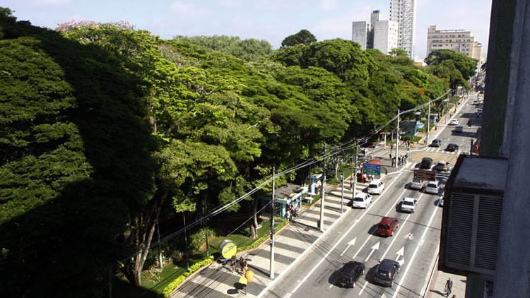 Articulado com diversas secretarias municipais, além de movimentos Sociais e de Mulheres, o mês terá cerca de 30 atividades gratuitas, em mais de 20 lugares diferentes, em todas as regiões de São José dos Campos. (Foto: Divulgação/PMSJC)