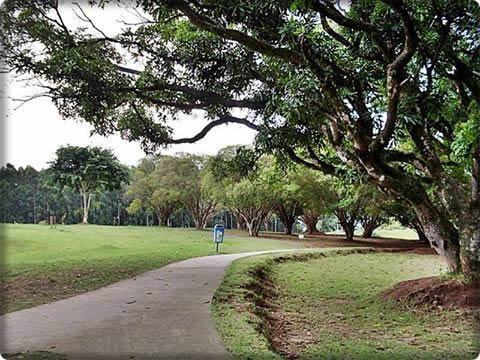 O Sedes fica na Avenida Amador Bueno da Veiga, s/nº - Jardim Ana Rosa. (Foto: Divulgação/PMT