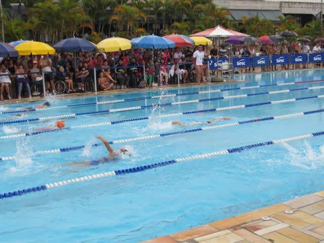 No sábado, dia 8, às 9h30, acontece o Bate-papo Natação em Águas Abertas com o atleta Marcos Campos. (Foto: Viviane Rheim)