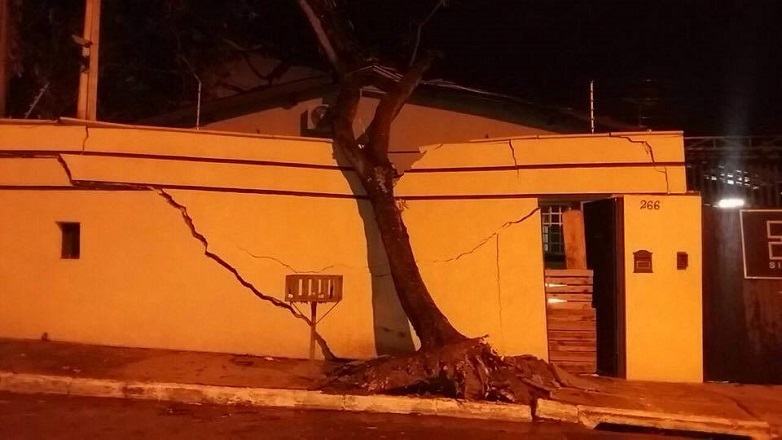 Três árvores caíram sobre residências na zona leste, nos bairros Jardim Primavera I, Jardim Paulista e Jardim Santa Fé. (Foto: Divulgação/PMSJC)