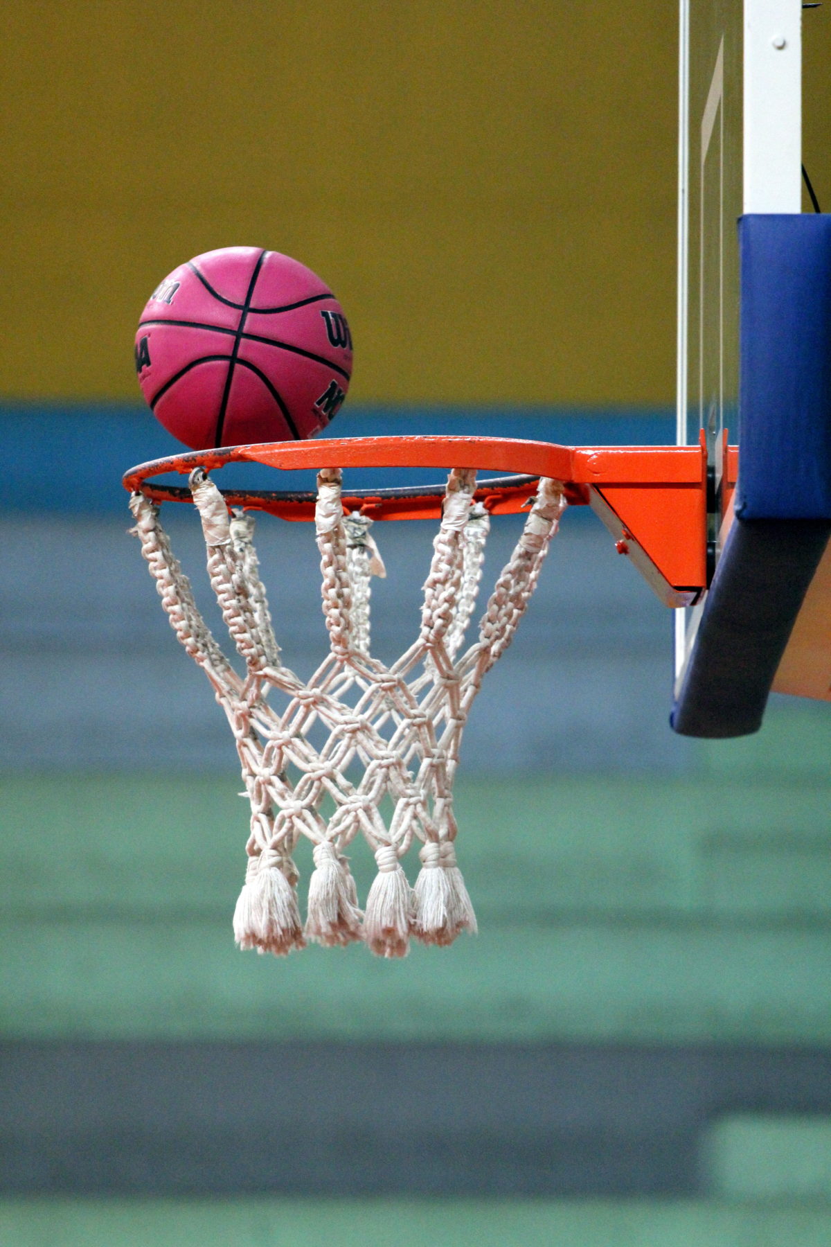 Liga de Basquete Feminino