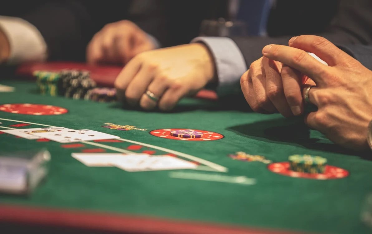 online casino  Cria especialistas