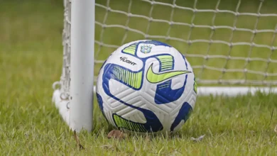 Duelo Palmeiras x Botafogo foi adiado de sábado (29) para domingo (30)