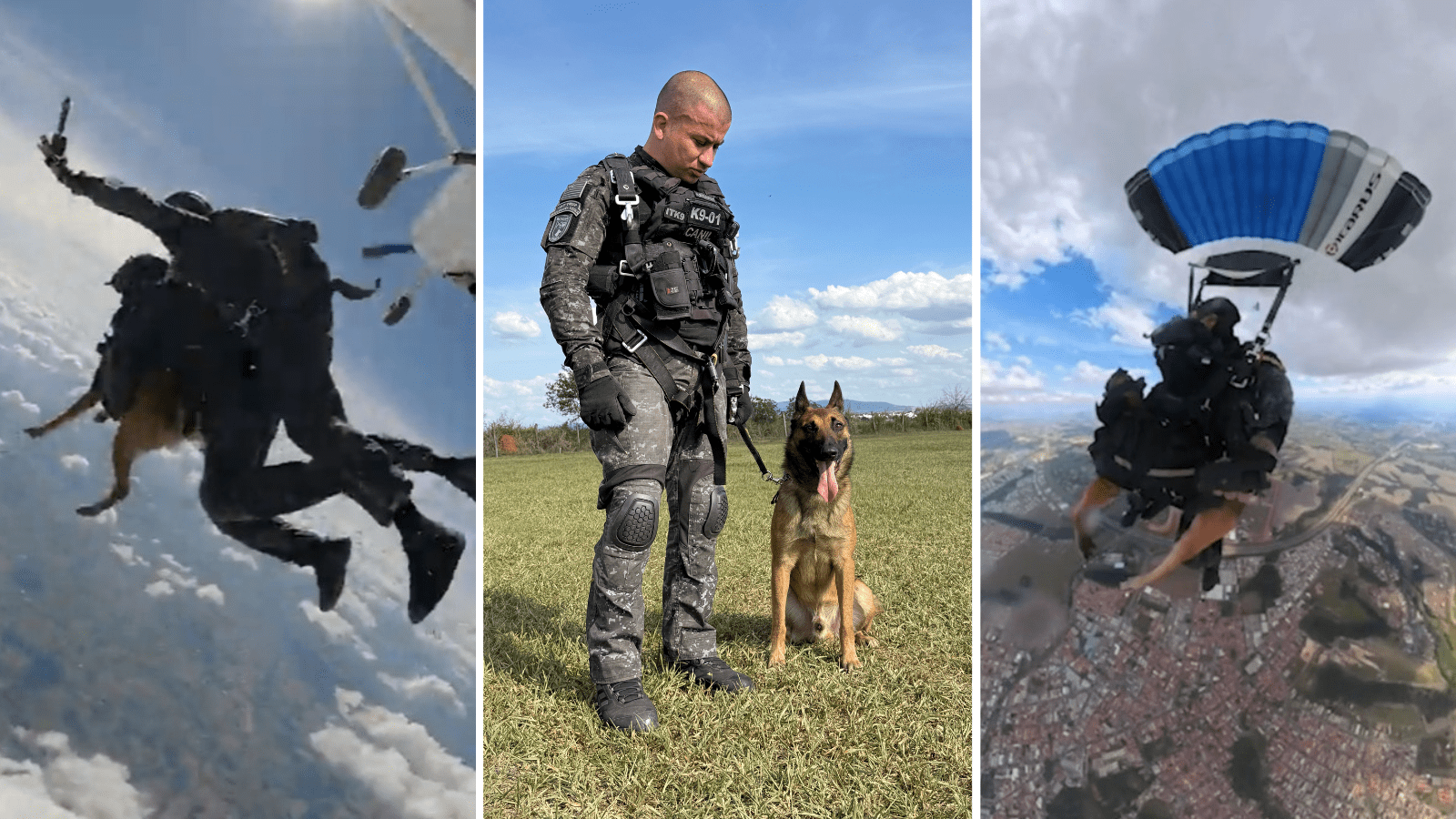Cão da PM é o 1° a saltar de paraquedas em treinamento de intervenção tática em SP