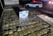 PM apreende 865 kg de droga conhecida como ‘super maconha’ no interior de SP