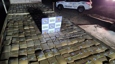 PM apreende 865 kg de droga conhecida como ‘super maconha’ no interior de SP