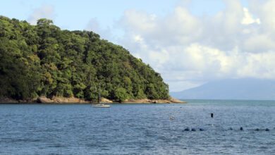 Praia da Cocanha, em Caraguatatuba, é selecionada para representar o Brasil em prêmio da ONU Turismo
