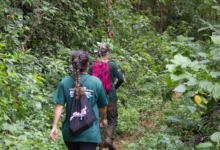 O projeto ‘Monitora Bio’ tem o objetivo é conhecer melhor as espécies de animais e plantas que habitam o território cruzeirense, promovendo a conservação da natureza e o equilíbrio ambiental.