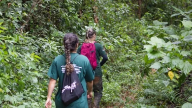 O projeto ‘Monitora Bio’ tem o objetivo é conhecer melhor as espécies de animais e plantas que habitam o território cruzeirense, promovendo a conservação da natureza e o equilíbrio ambiental.