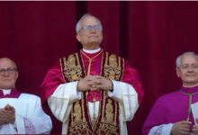 Novo papa