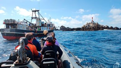 Pesquisadores desenvolvem estudos científicos na Ilha de São Pedro e São Paulo, arquipélago estratégico para a soberania brasileira no Atlântico, contribuindo para o avanço do conhecimento sobre biodiversidade, clima, geologia e recursos marinhos. (Foto: Marinha do Brasil)