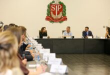 SP debate sustentabilidade com 12 Estados antes de congresso nacional sobre meio ambiente