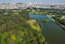 Parques Estaduais de SP promovem várias ações na Semana do Meio Ambiente 2025; confira