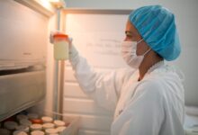 Dia de Doação de Leite Humano: amamentação é principal fator na redução da mortalidade na infância