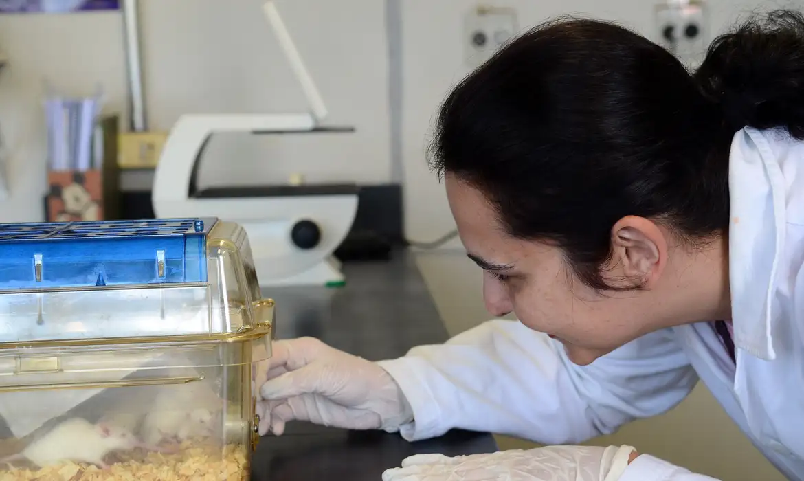 Testagem de novos fármacos e cosméticos é feita atualmente em animais