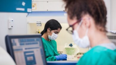 Fapesp anuncia quatro novos Centros de Pesquisa com foco em ciências exatas e engenharias