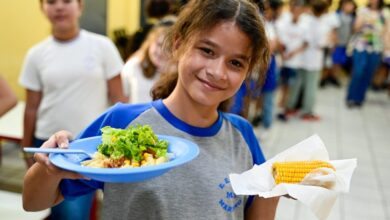 SP distribui 3,5 milhões de espigas de milho a escolas para preparo de receitas de festa junina