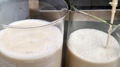 Fapesp apoia tecnologia que produz proteínas do leite sem necessidade de vacas