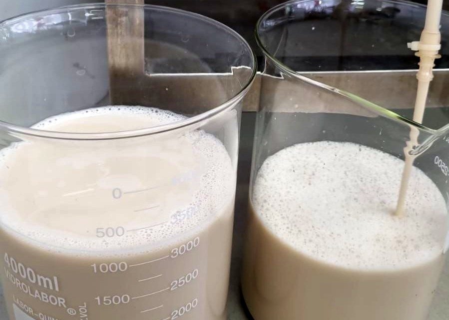 Fapesp apoia tecnologia que produz proteínas do leite sem necessidade de vacas