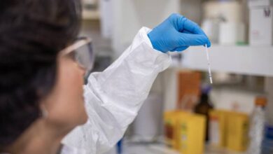 Butantan obtém patentes de dois testes rápidos para diagnóstico de leptospirose que oferecem resultados em 25 minutos