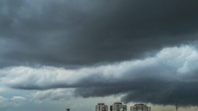 Previsão do tempo para quarta-feira (11), em SP: condições para nevoeiro