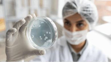 SP apoia novo centro que vai estudar micoses endêmicas na América Latina