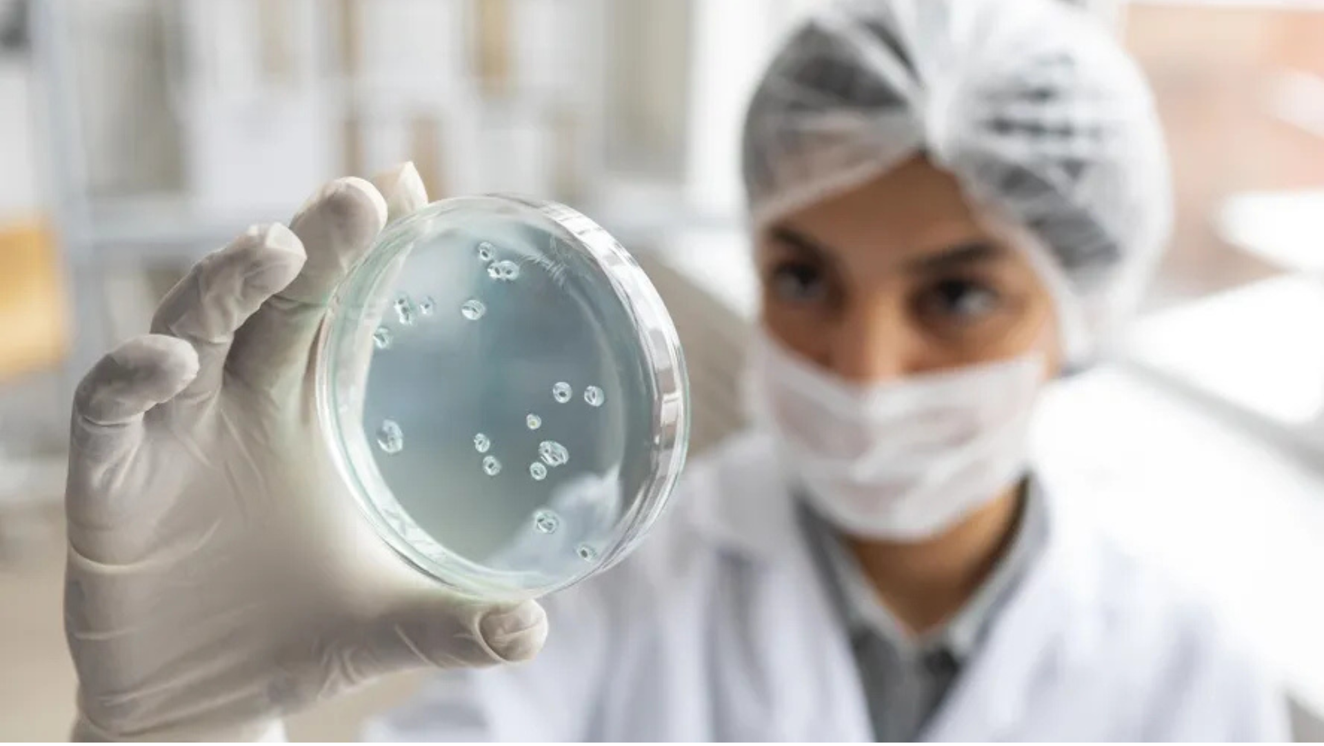 SP apoia novo centro que vai estudar micoses endêmicas na América Latina