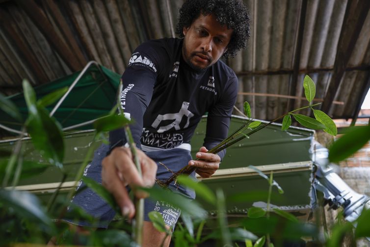 Bragança (PA), 13/06/2025 – O gestor do projeto Mangues da Amazônia, John Gomes, com mudas de mangue que serão levadas para reflorestamento. Foto: Fernando Frazão/Agência Brasil