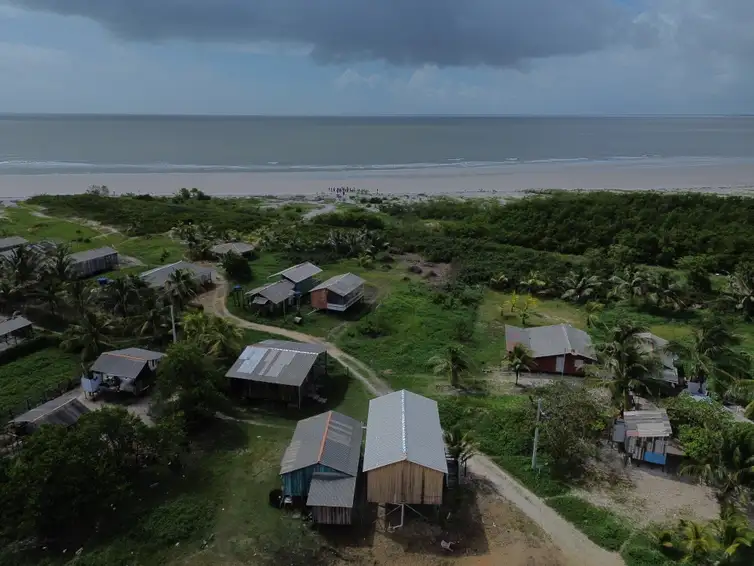 Bragança (PA), 13/06/2025 – Manguezal da Vila dos Pescadores de Ajuruteua, na área da Reserva Extrativista Marinha de Caeté-Taperaçu. Foto: Fernando Frazão/Agência Brasil