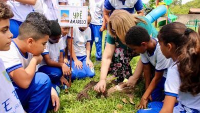Escola Caminho das Estrelas une saberes e pr&aacute;ticas pelo meio ambiente