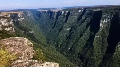 ICMBio não vê falhas sistêmicas que possam ter causado morte de menina
