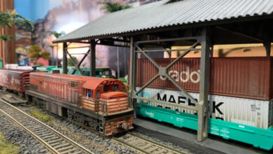 Evento acontecerá no shopping Pátio Pinda, das 10h às 18h, e será gratuito