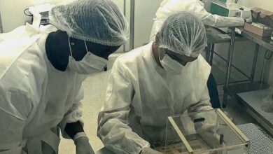 Produção em Laboratório.