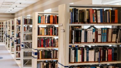 Mulheres lideram com 70% do público em unidades de cultura analisadas