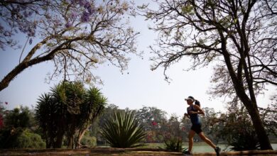 Previsão do tempo para sábado (23), em SP: tempo firme