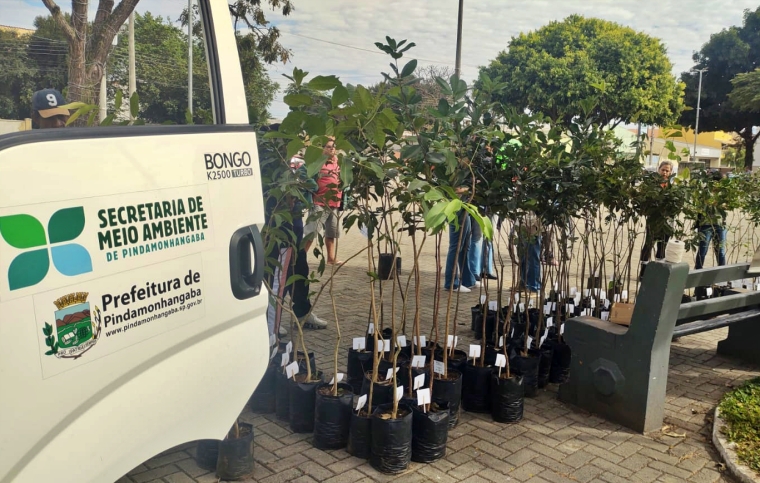 Em comemoração ao Dia da Árvore, Pindamonhangaba distribui mudas e composto orgânico no Shopping Pátio Pinda. Um gesto simples que ajuda a transformar a cidade em um lugar mais verde
