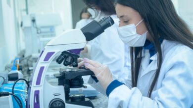 400 mil alunos da 1ª série do EM devem registrar opção de itinerário formativo até esta sexta-feira (19) na Secretaria Escolar Digital