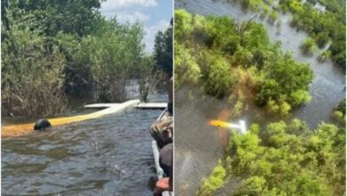 Aeronave abatida pela FAB