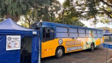 Castramóvel em ação durante mutirão de castração de cães e gatos em Taubaté